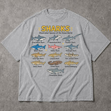 SF_COLOR=sport-grey; SF_ITEM=adult-t-shirt; SF_ROLE=main; Ocean Sharks Illustrated Species T-Shirt Educational Marine Biology Animal Tee - Sport Grey Adult T-Shirt product image