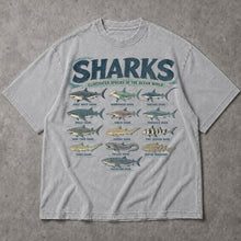 SF_COLOR=sport-grey; SF_ITEM=adult-t-shirt; SF_ROLE=main; Retro Sharks Illustrated Species T-Shirt Ocean Life Marine Biologist Apparel - Sport Grey Adult T-Shirt product image