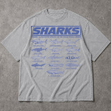 SF_COLOR=sport-grey; SF_ITEM=adult-t-shirt; SF_ROLE=main; Vintage Sharks Illustrated Species T-Shirt Marine Biology Ocean Animal Apparel - Sport Grey Adult T-Shirt product image